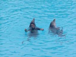 Resize of P21010098.JPG